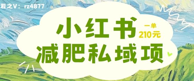 小红书减肥粉，私域变现项目，一单就达210元，小白也能轻松上手【揭秘】-森森项目库