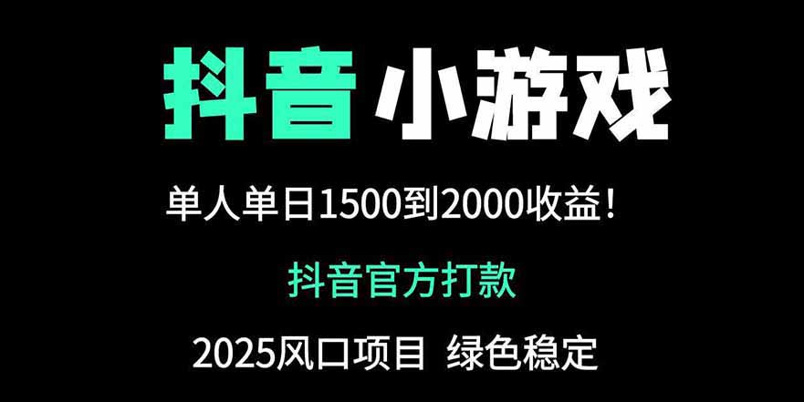 抖音官方小游戏2025全网最新玩法，暴利赚钱项目，单机日入2000+-森森项目库