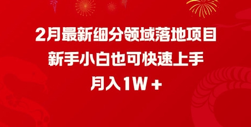 2月最新细分领域落地项目，新手小白也可快速上手，月入1W-森森项目库