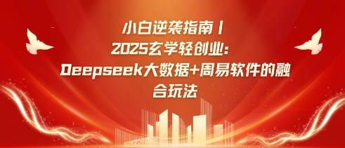 小白逆袭指南，2025玄学轻创业：Deepseek大数据+周易算法的融合玩法-森森项目库