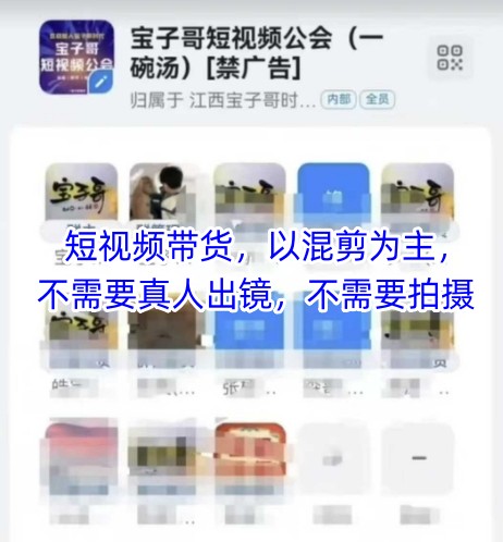 宝子哥头部团队短视频带货，以混剪为主，不需要真人出镜，不需要拍摄-森森项目库