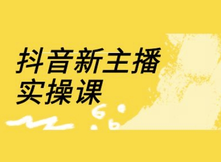 抖音新主播实操课，直播间流量运营线上实操课(18节)-森森项目库