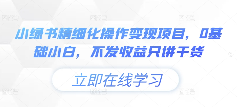 小绿书精细化操作变现项目，0基础小白，不发收益只讲干货-森森项目库