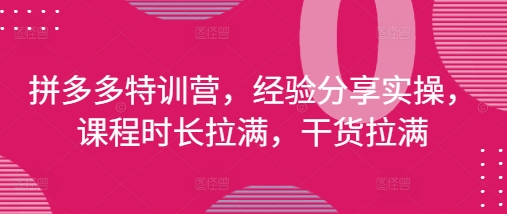 拼多多特训营，经验分享实操，课程时长拉满，干货拉满(更新25年4月)-森森项目库