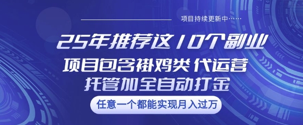 25年推荐这10个副业项目包含褂鸡类、代运营托管类、全自动打金类【揭秘】-森森项目库