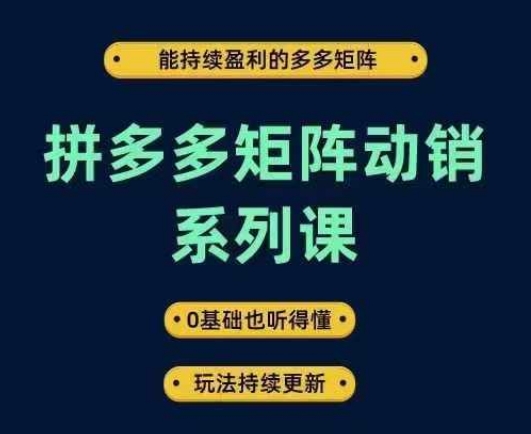 拼多多矩阵动销系列课，能持续盈利的多多矩阵，0基础也听得懂，玩法持续更新-森森项目库