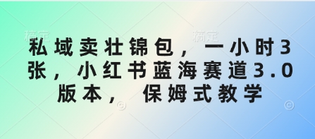 私域卖壮锦包，一小时3张，小红书蓝海赛道3.0版本， 保姆式教学-森森项目库