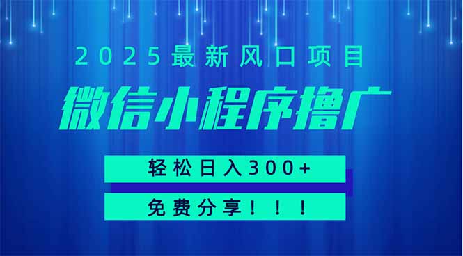 微信小程序撸广，最新风口项目，日入300+ 免费分享 可批量操作 小白可…-森森项目库