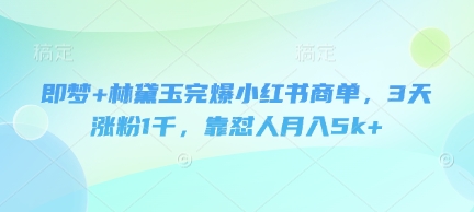 即梦+林黛玉完爆小红书商单，3天涨粉1千，靠怼人月入5k+-森森项目库