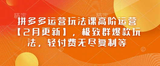 拼多多运营玩法课高阶运营【2月更新】，极致群爆款玩法，轻付费无尽复制等-森森项目库