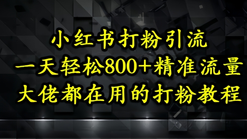 小红书打粉引流，一天轻松500+精准流量，大佬都在用的打粉教程-森森项目库