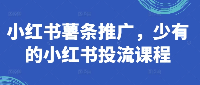 小红书薯条推广，少有的小红书投流课程-森森项目库