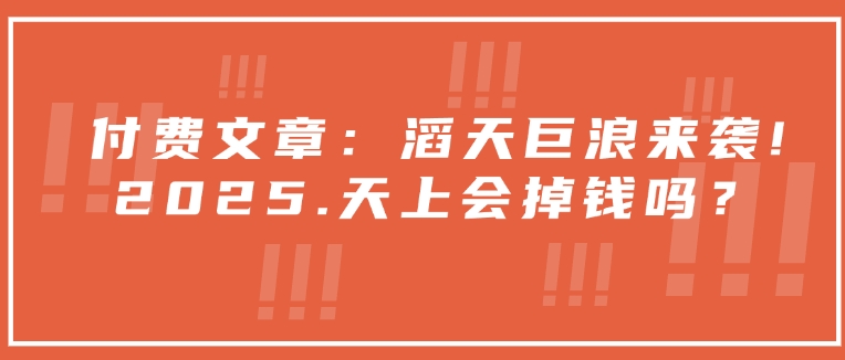 付费文章：滔天巨浪来袭！2025天上会掉钱吗？-森森项目库