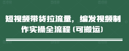 短视频带货拉流量，编发视频制作实操全流程(可搬运)-森森项目库