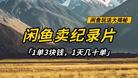 闲鱼卖纪录片1单3块钱，1天几十单，项目稳定有潜力-森森项目库