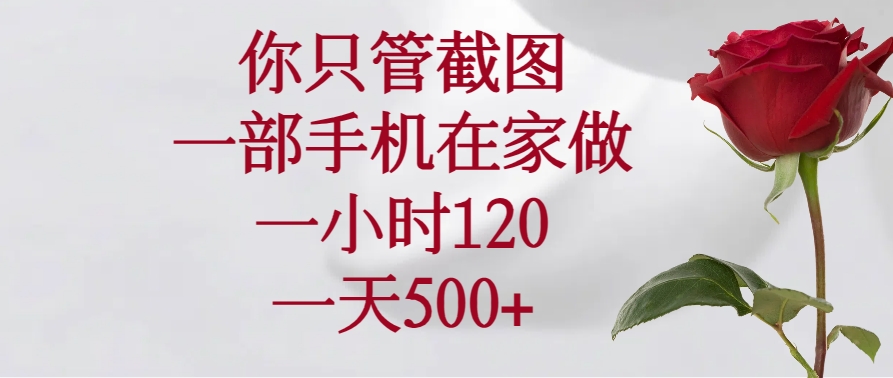 你只管截图，一部手机在家做，一小时120，一天500+-森森项目库