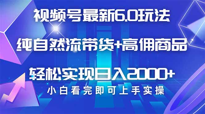 视频号带货最新6.0玩法，作品制作简单，当天起号，复制粘贴，轻松矩阵…-森森项目库