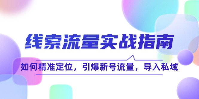 线 索 流 量-实战指南：如何精准定位，引爆新号流量，导入私域-森森项目库