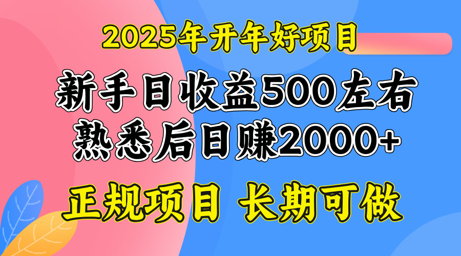 2025开年好项目，单号日收益2000左右-森森项目库