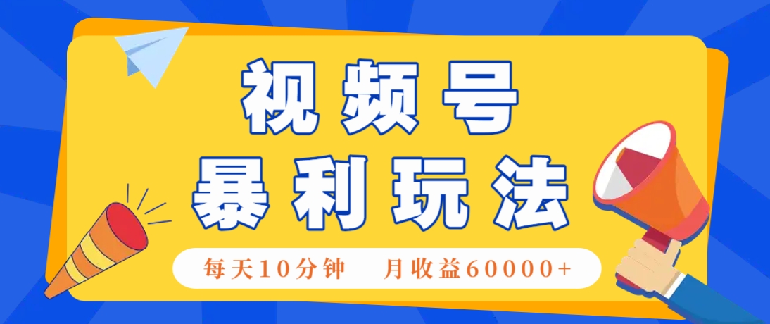 视频号AI赚钱法，每天只需10分钟，月入6万+！(超详细拆解)-森森项目库