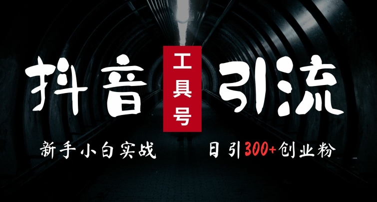 2024最新抖音工具号引流玩法，高效日引300+创业粉，当天变现5k，小白也可成为实战高手-森森项目库