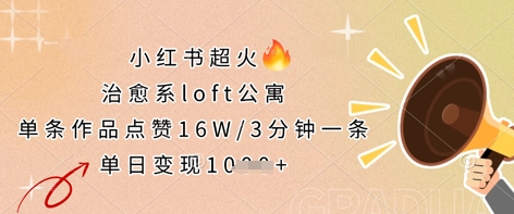 小红书超火的治愈系loft公寓，单条作品点赞16W，3分钟一条，单日变现数张-森森项目库