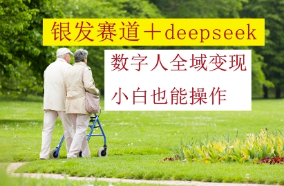 银发赛道+deepseek数字人全域变现，小白也能操作-森森项目库