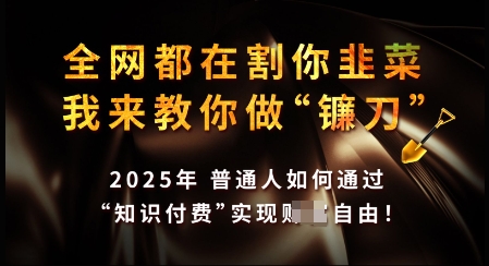 知识付费如何做到月入过W+，2025我来教你做“镰刀”【揭秘】-森森项目库