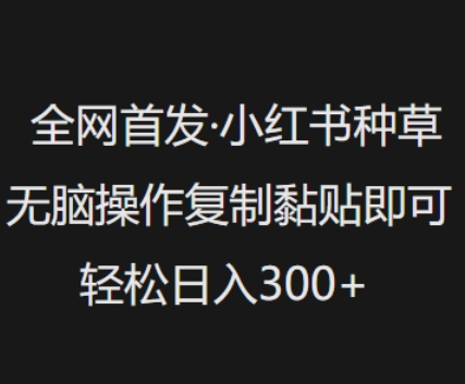 全网首发，小红书种草无脑操作，复制黏贴即可，轻松日入3张-森森项目库