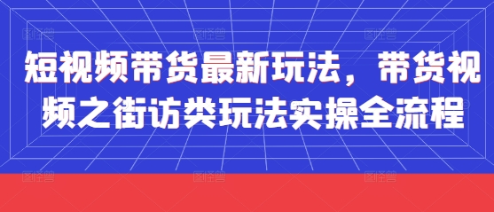 短视频带货最新玩法，带货视频之街访类玩法实操全流程-森森项目库