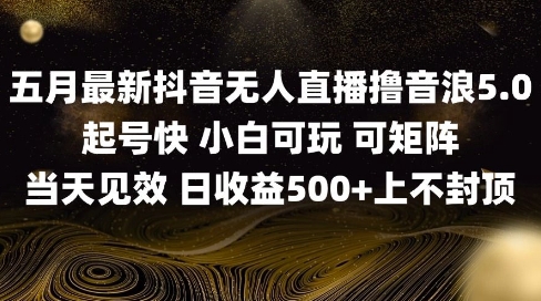 2025五月最新无人直播撸音浪单日产出5张+实操教程【揭秘】-森森项目库