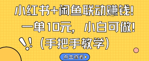 小红书+闲鱼联动挣钱，一单10元，小白可做-森森项目库
