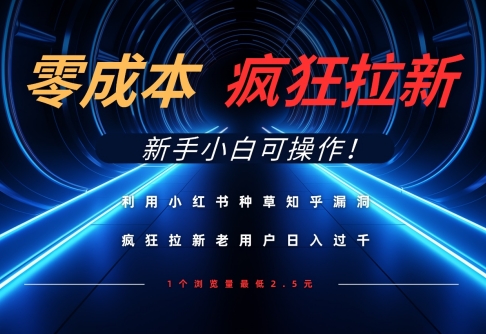 利用小红书种草知乎漏洞，零成本疯狂拉新日入数张，新手小白可操作-森森项目库