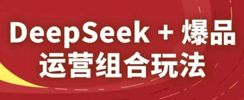 DeepSeek+爆品运营组合玩法，2025淘系精品课-森森项目库