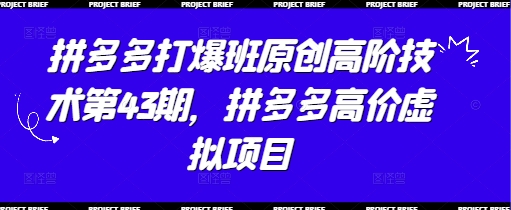 拼多多打爆班原创高阶技术第43期，拼多多高价虚拟项目-森森项目库