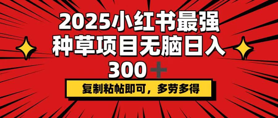 2025小红书最强种草项目，无脑日入300+，复制粘帖即可，多劳多得-森森项目库