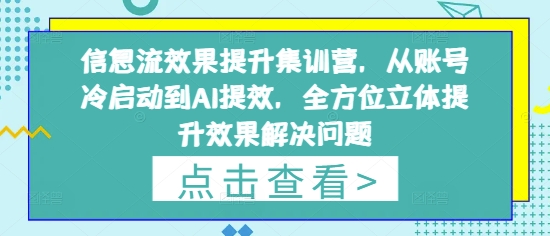 信息流效果提升集训营，从账号冷启动到AI提效，全方位立体提升效果解决问题-森森项目库