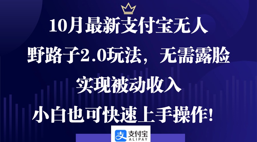 10月最新支付宝无人野路子2.0玩法，无需露脸，实现被动收入，小白也可…-森森项目库