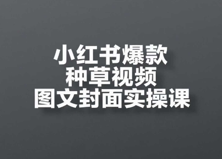 小红书爆款种草视频图文封面实操课，​开店、选品、引流、变现全流程-森森项目库