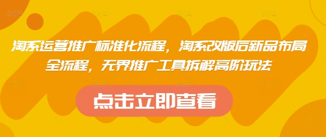 淘系运营推广标准化流程，​淘系改版后新品布局全流程，无界推广工具拆解高阶玩法-森森项目库
