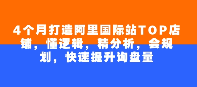 4个月打造阿里国际站TOP店铺，懂逻辑，精分析，会规划，快速提升询盘量-森森项目库