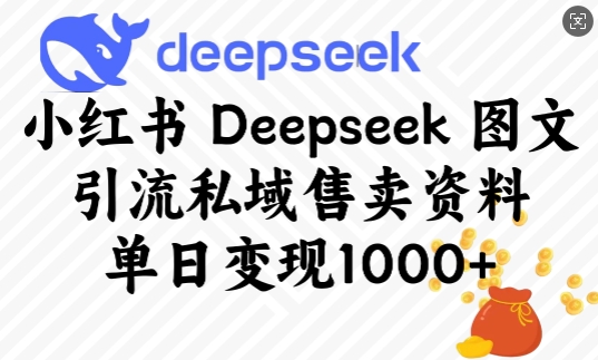 小红书Deepseek图文引流私域售卖资料，单日变现多张-森森项目库