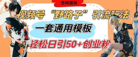 视频号“野路子”玩法，评论区疯狂截流，一套模板单日单号引流50+创业粉-森森项目库
