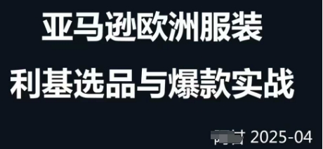 跨境电商选品案例24-25年，聚焦跨境电商选品策略与运营优化，助力卖家挖掘蓝海市场-森森项目库