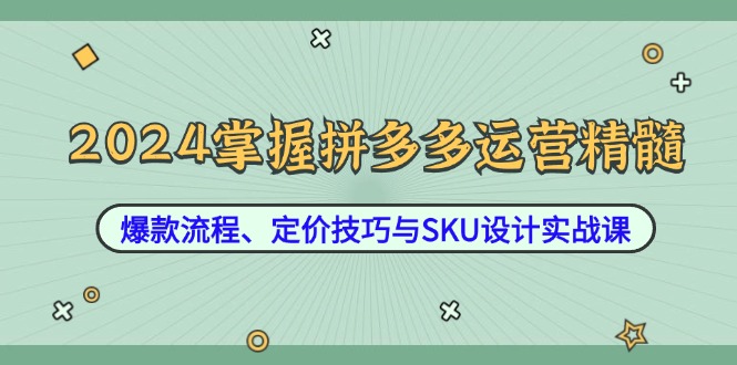2024掌握拼多多运营精髓：爆款流程、定价技巧与SKU设计实战课-森森项目库