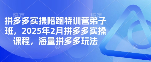 拼多多实操陪跑特训营弟子班，2025年2月拼多多实操课程，海量拼多多玩法-森森项目库
