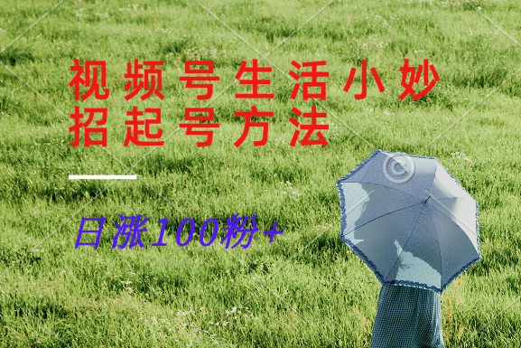 视频号生活小妙招分享赛道， 起号涨粉新方法，日涨100粉-森森项目库