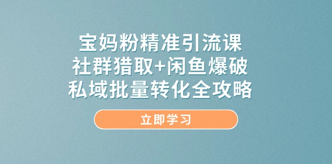 宝妈粉精准引流课，社群猎取+闲鱼爆破，私域批量转化全攻略-森森项目库
