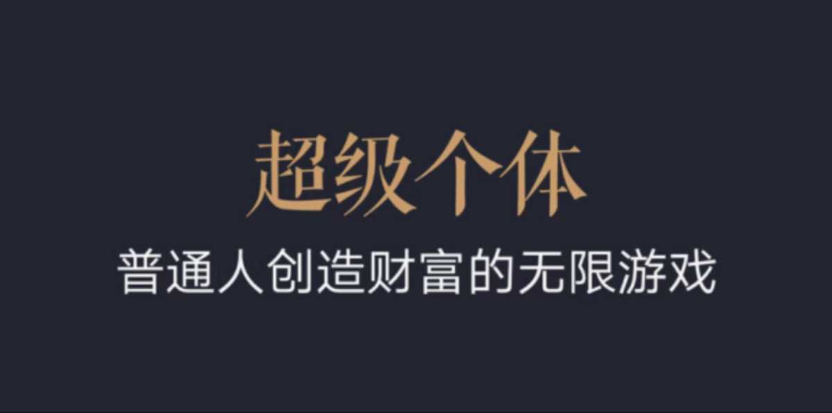 超级个体：2024-2025翻盘指南，普通人创造财富的无限游戏-森森项目库