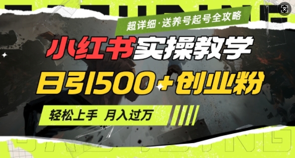 2月小红书最新日引500+创业粉实操教学【超详细】小白轻松上手，月入1W+，附小红书养号起号SOP-森森项目库